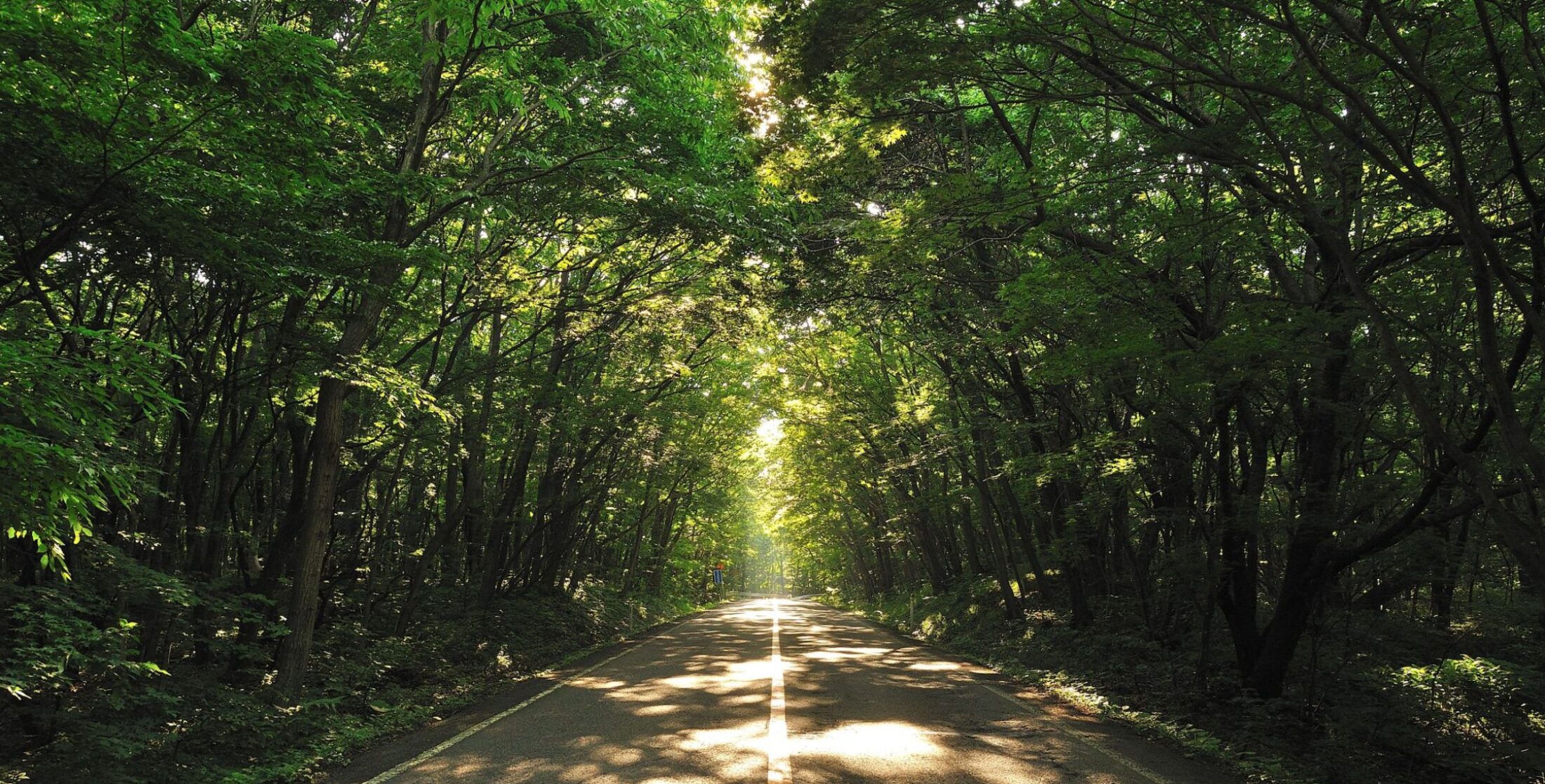 be:March コンセプトイメージ